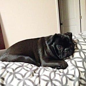 Meet your Posher, Titi